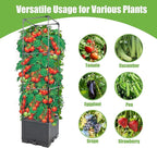Sunnyglade 2 Pcs Raised Garden Bed Planter Box - Image 4