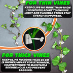 100Pcs Clear Plant Clips for Climbing Plants Indoor - Image 4