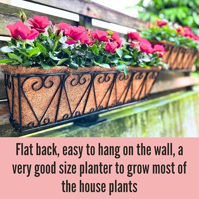LaLaGreen Wall Planter - Image 6
