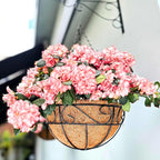 LaLaGreen Hanging Planter for Outdoor Plants Hanging Baskets by L%C3%A1L%C3%A1Green