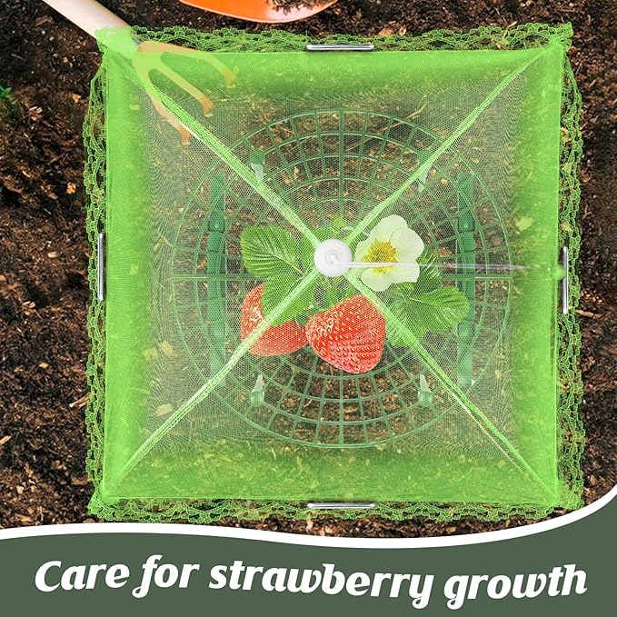 4 Sets Strawberry Plant Support - Image 5