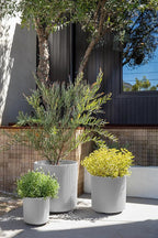 Veradek Demi Series Set of 3 Round Planters - Image 5