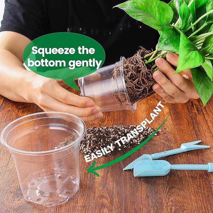 8 Packs 8 Inch Reinforced Large Clear Nursery Pots - Image 5