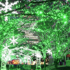 300 LED St Patricks Day Lights, 98.5FT Christmas String Lights - Image 2