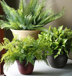 The HC Companies Sierra Round Self-Watering Pot - Image 2