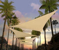 Amgo Custom Size 15' x 15' x 15' Beige Triangle Sun Shade Sail Order to Make by Amgo