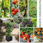 GENMOUS 3 Tiered Tomato Planter - Image 2