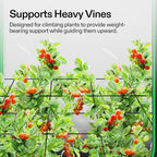 VIVOSUN 5 x 5Ft. Elastic Trellis Netting - Image 2