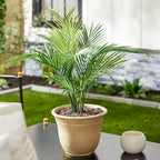 The HC Companies Sierra Round Self-Watering Pot - Image 2
