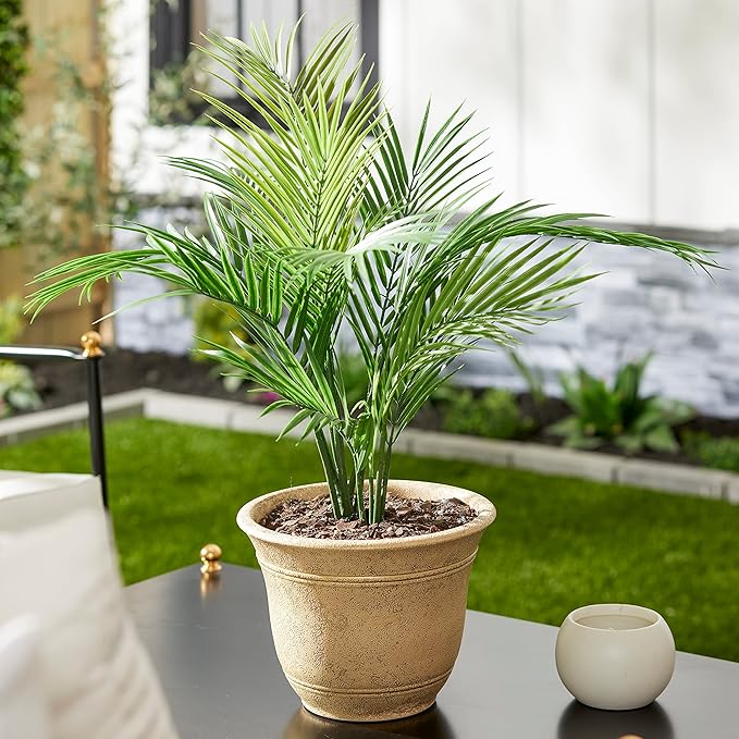 The HC Companies Sierra Round Self-Watering Pot - Image 2
