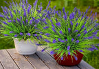 Artificial Plants Outdoor, Plastic Faux Plants - Image 8