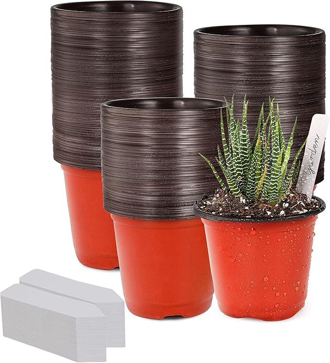 TDHDIKE 4" Small Plastic Plant Pots by TDHDIKE