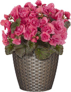 Classic Home & Garden Nantucket 8" Planter - Image 2