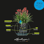 Lechuza Puro Color 20 Slate, Self-Watering Small Indoor Planter, D7.9 H6.3 in - Image 5