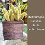 LaLaGreen Indoor Planter Box for Plants Small Square Wooden Wall Mounted - Image 6