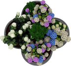 2-Pack Galvanized Raised Garden Bed, Veggies & Flowers. Rust-Resistant Raised - Image 8