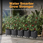 Self-Watering Grow Bags, for Low Stress Plant Training Fruits, Vegetables - Image 7