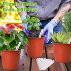 TDHDIKE 6 Inch Plastic Plant Nursery Pot/Pots - Image 4