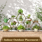 Tikea - Hexagonal Plant Stand Indoor Outdoor Large 11 Tiered Wooden Plant Shelf - Image 3