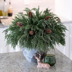 Cedar Stems Artificial Norfolk Pine Branches - Image 9
