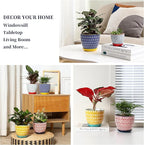 Selamica Ceramic Plant Pots, 5.6 Inch Flower Pots - Image 6