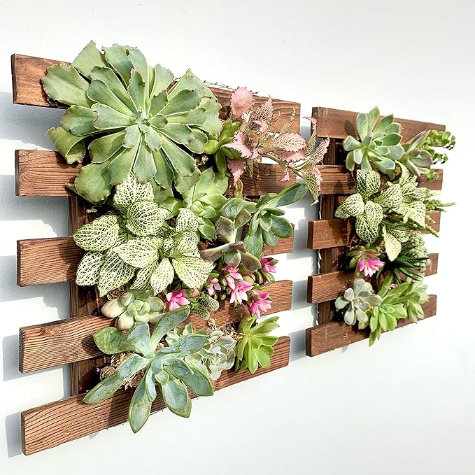 ShopLaLa Wall Planter by ShopLaLa