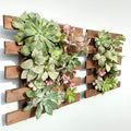 ShopLaLa Wall Planter by ShopLaLa