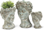 Abbott Collection Goddess Head Planter – Extra Small Cement Indoor and Outdoor - Image 3