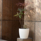Dexceder 15x14 Rattan Self Watering Planter - Image 6