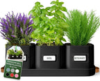volila Herb Planter Indoor by volila