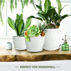 Utopia Home - Spotty Plant Pots Indoor - 7/6.6/6/5.3/4.8 Inches Flower Pots - 5 - Image 4