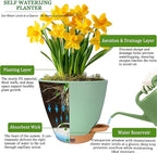 6 Inch Self Watering Pots for Indoor Plants – Small Plastic Planters - Image 7