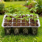 Bonviee 12 Packs Seed Starter Tray - Image 8