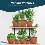 Terracotta Plant Pots with Drainage Holes & Saucers 15 Pack, Indoor & Outdoor - Image 4