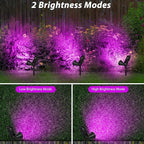 T-SUN LED Solar Spotlights, Waterproof Outdoor Security Landscape Lamps - Image 3