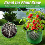 10 Gallon Grow Bags, 7 Pack Colorful Fabric Plant Pots - Image 4