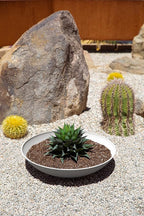 Veradek Mason Series Lane Bowl Planter| - Image 4