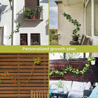 Chain Trellis for Climbing Plants - Image 6