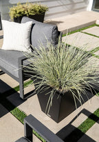 Veradek Pure Series Nobleton Plastic Planter - Image 6