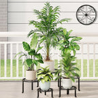 5 Pack Metal Plant Stand Heavy Duty Metal Plant Shelf by Unknown
