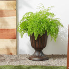 Arcadia Garden Products PL20CP Classic Traditional Plastic Urn Planter - Image 4