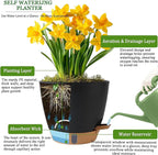 Self Watering Pots for Inoor Ourdoor Plants 10/9/8/7/6.5 Inch Plastic Planters - Image 5