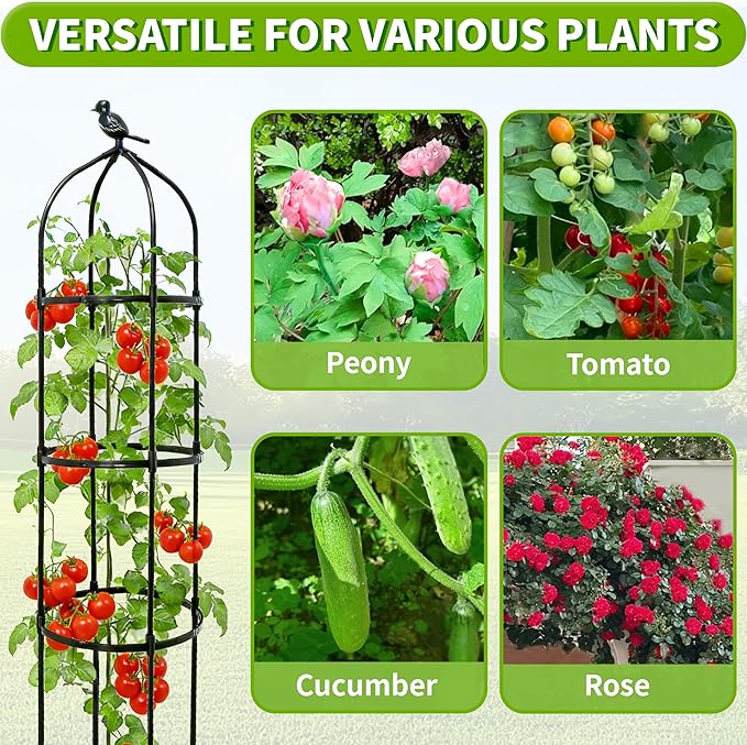 2-Pack 6FT Garden Obelisk Trellis - Image 6