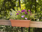 Novelty 16195, Terracotta, Countryside Flower Box Planter - Image 5