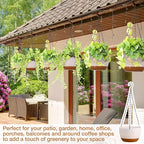 Mumufy 6 Pcs 8 Inch Hanging Planter - Image 5