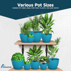 Blue Plant Pots with Drainage Holes & Saucers 15 Pack, Indoor & Outdoor - Image 4