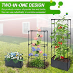 2 Packs Raised Garden Bed Tomato Planter Box - Image 4