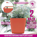 GARDENIX DECOR 5" Self Watering pots - Image 4