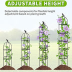 2-Pack 6.7FT Garden Obelisk Trellis - Image 5