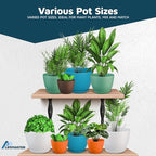 Multicolor Plant Pots with Drainage Holes & Saucers 10 Pack, Indoor & Outdoor - Image 4